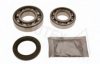 PEUGE 374807 Wheel Bearing Kit